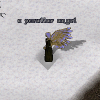 a peculiar angel