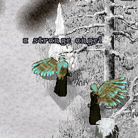 a strange angel
