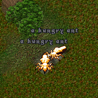 a hungry ant