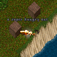 a super hungry ant