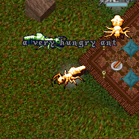 a very hungry ant