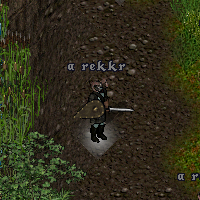 a rekkr