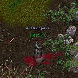 a skeppare