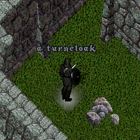 a turncloak