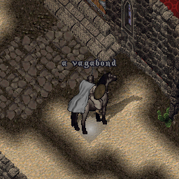 a vagabond