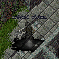 unfound wisdom