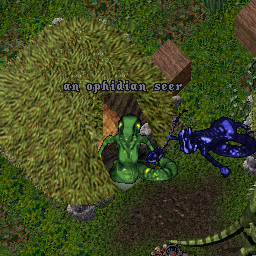 an ophidian seer