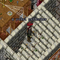 a rebel collector