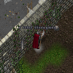 a rebel strongman