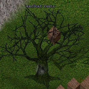 ancient roots