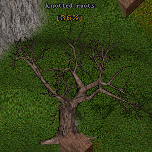 knotted roots