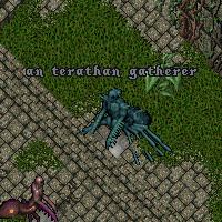 a terathan gatherer