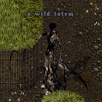 a wild totem